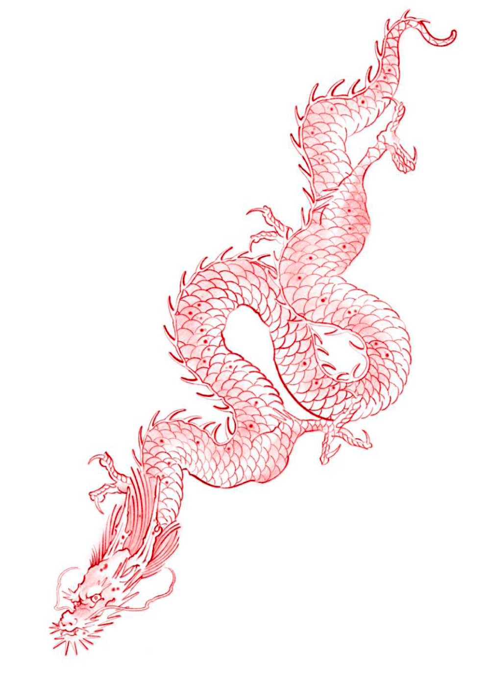 red dragon outline