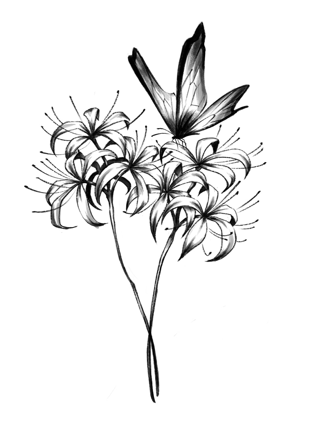 Spider Lily Bouquet – Chronic Ink