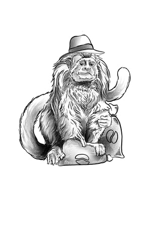 Brian's $600 Flash Design 1