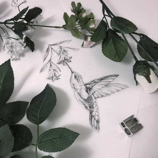 History and Meaning Behind the Hummingbird Tattoo