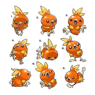 Torchic Set