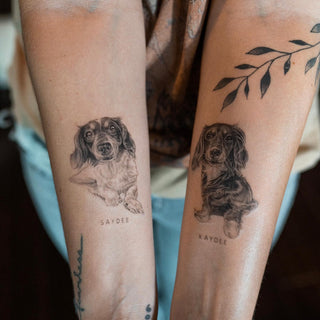 Pet portrait miniature