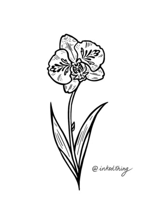 Ornamental Orchid