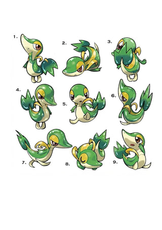 Snivy Set