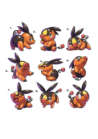Tepig Set