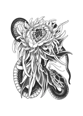 Serpent Chrysanthemum