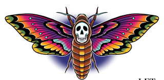 Deaths Head Moth