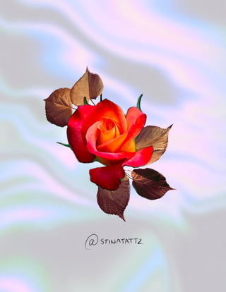 Flame Rose