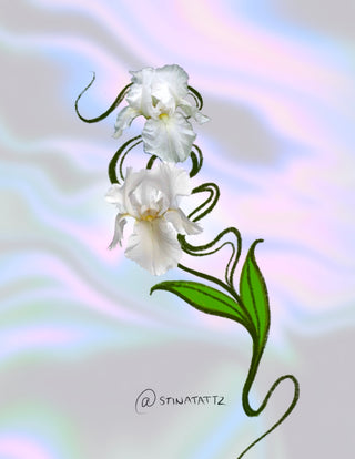 White Iris Swirls