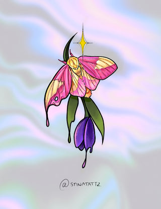 Pink/Yellow Moth on Melting Tulip