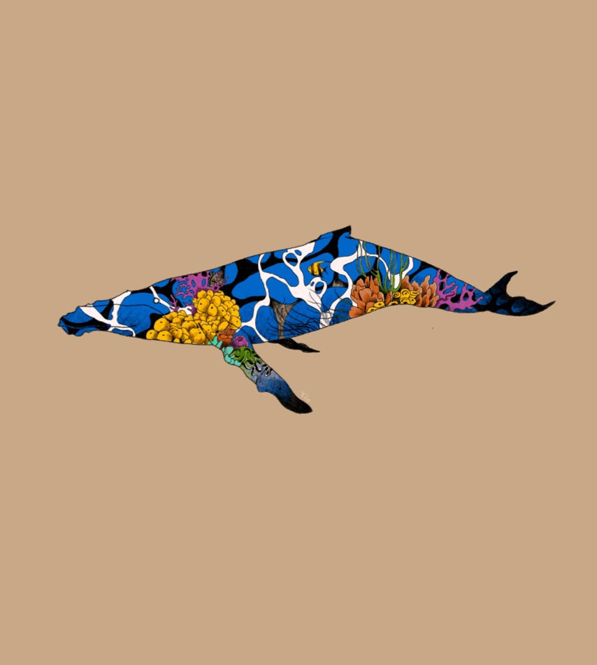 Whale and Ocean Chronic Ink