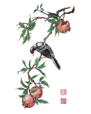 Bird in Pomegranate Tree