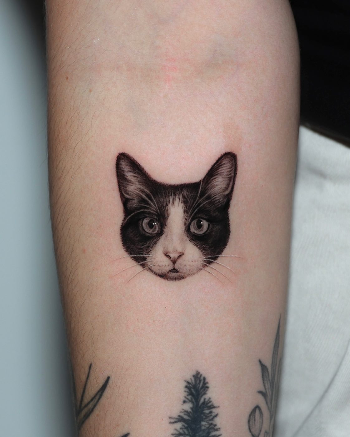 40 Incredible Realistic Cat Tattoos That Are Trending | Inku Paw