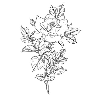 Rose Stem with Thorns