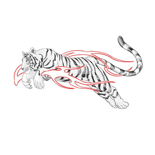 Fine Line Tiger and Flames