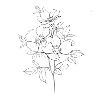 Branch with 3 Wild Roses