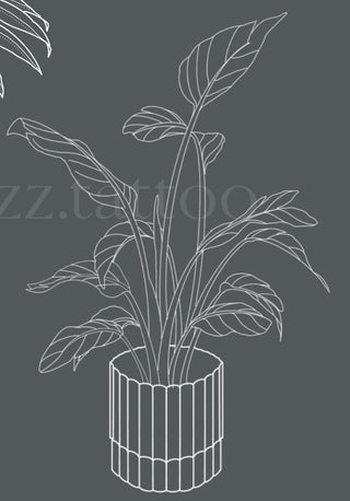 Potted Plant 2