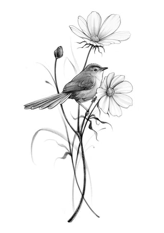 The Bird with Cosmos