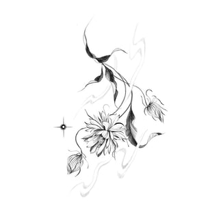 Epiphyllum Flower
