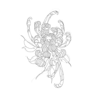 Chrysanthemum #3